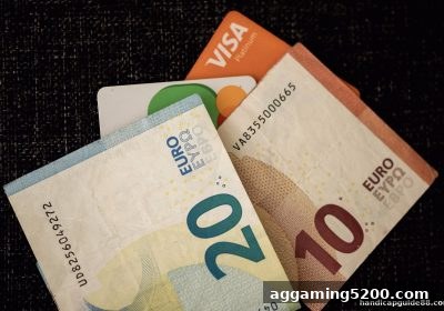 让球盘平台用户必看：TRC20入金状态查询全攻略