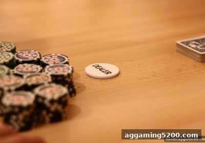 百家乐入门全攻略：让球盘平台带你领略经典真人游戏魅力