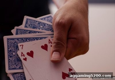 让球盘平台深度解析：SG飞艇百家乐玩法进阶与风险管控