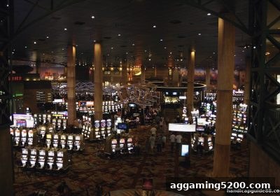 让球盘平台揭秘：龙虎斗真人游戏中的心理博弈艺术