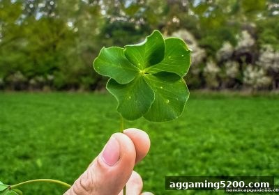 英超赛事互动中的概率逻辑：让球盘平台教你科学评估胜率
