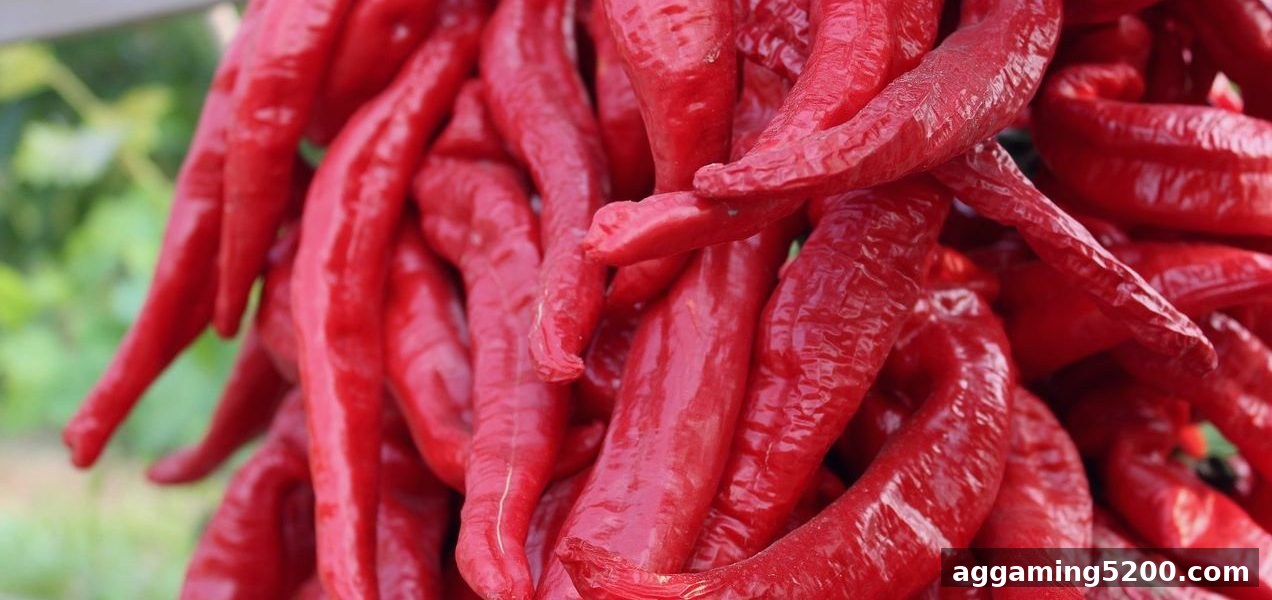 让球盘平台首存奖励领取指南：最大化资金，直通麻将胡了
