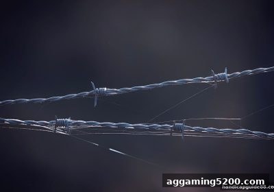 让球盘平台视角：系统评估娱乐平台可信度与老虎机游戏波动周期