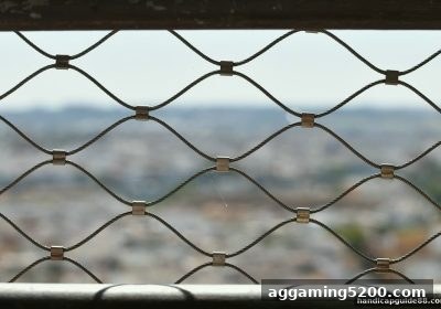 飞禽走兽游戏深度解析：让球盘平台背后的数学陷阱与心理操控