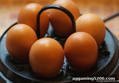 让球盘平台解读：斗地主特殊符号如何重塑牌局体验？